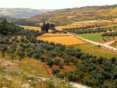 قرى فلسطين المدمرة