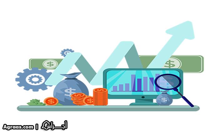 صناديق الاستثمار وشركات إدارة الأموال