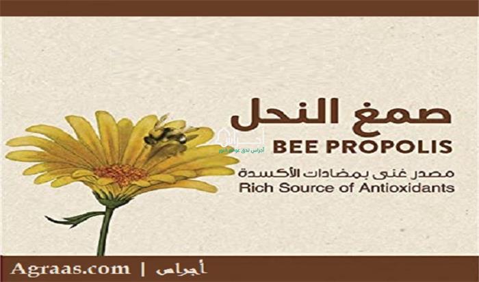 صمغ النحل الطبيعي - العكبر - Propolis