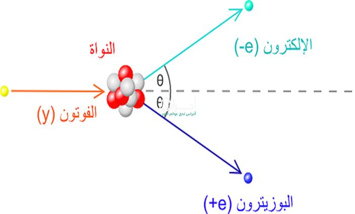 نواة الذرة ومكوناتها